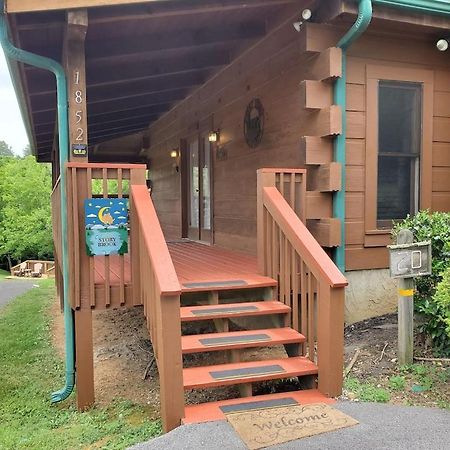 Story Brook: Beautiful True Log Cabin! Close To Dollywood, State Park, And More! 塞维尔维尔 外观 照片