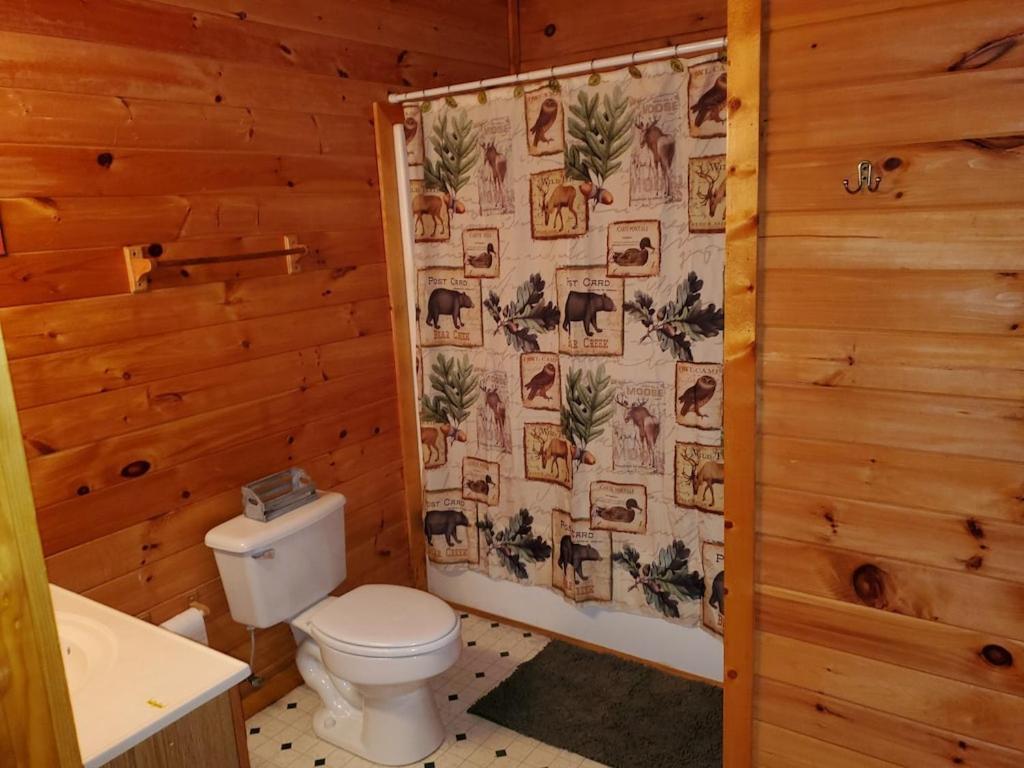 Story Brook: Beautiful True Log Cabin! Close To Dollywood, State Park, And More! 塞维尔维尔 外观 照片